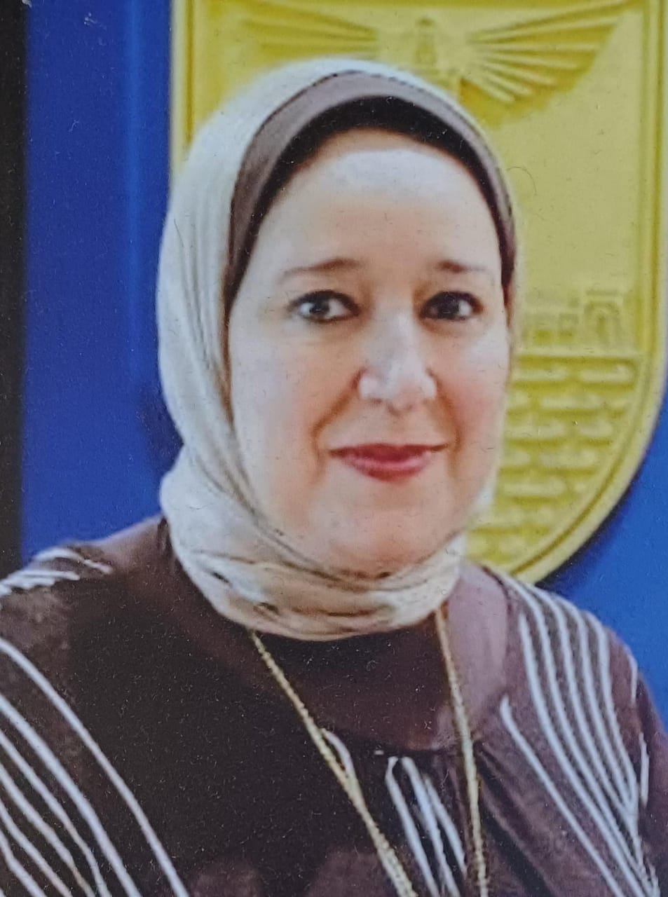 Prof. Heba ElKady